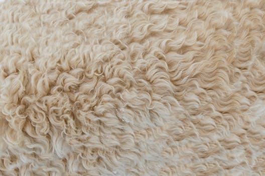 Sheepskin