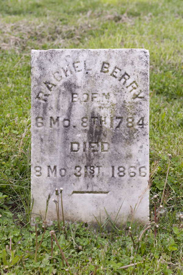 rachel (white) berry