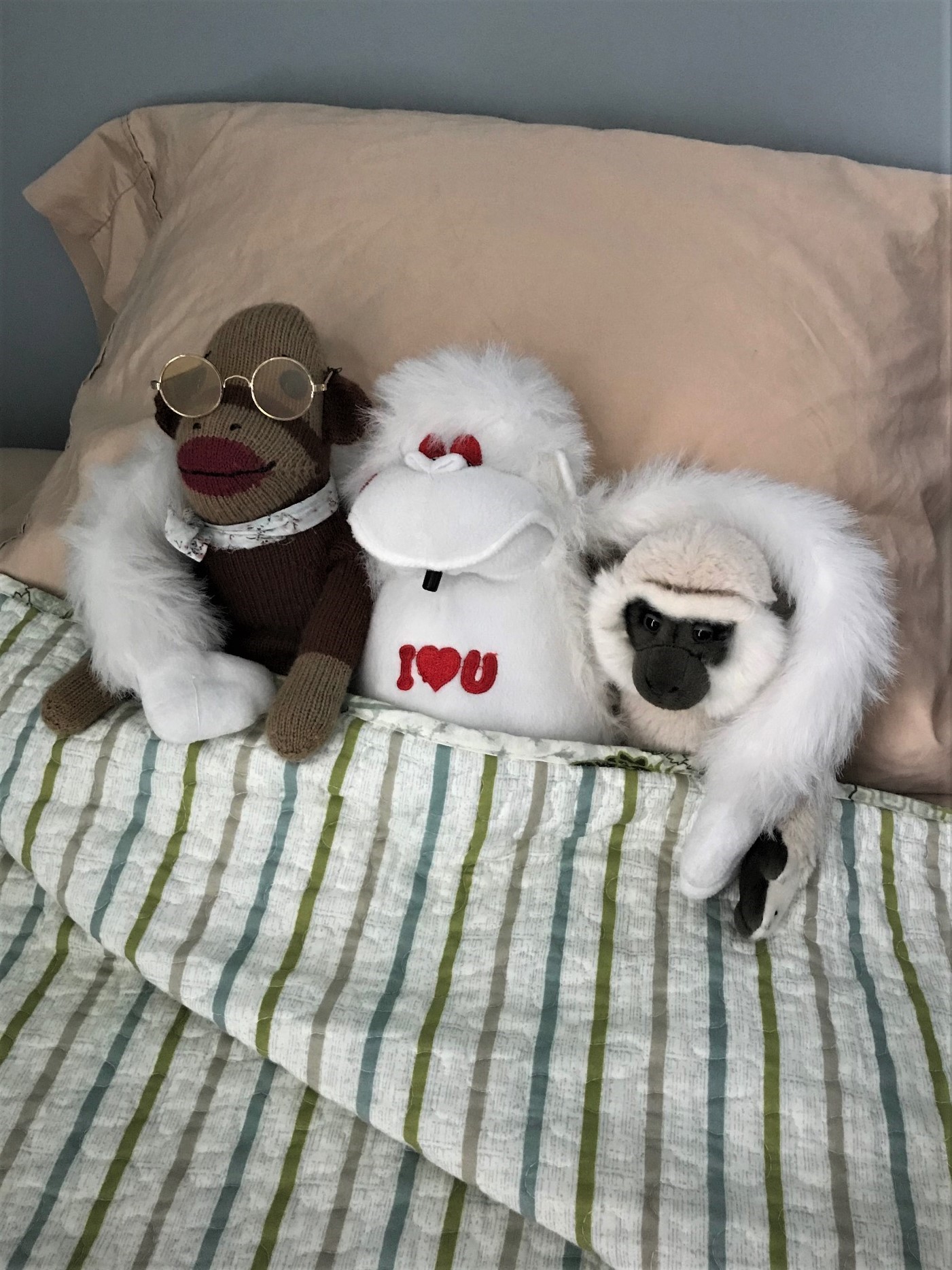 monkeys in bed 2