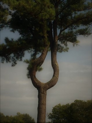 This image has an empty alt attribute; its file name is divorce-2.jpg